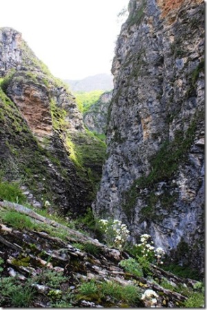 gorge-della-reina gorge-della-reina