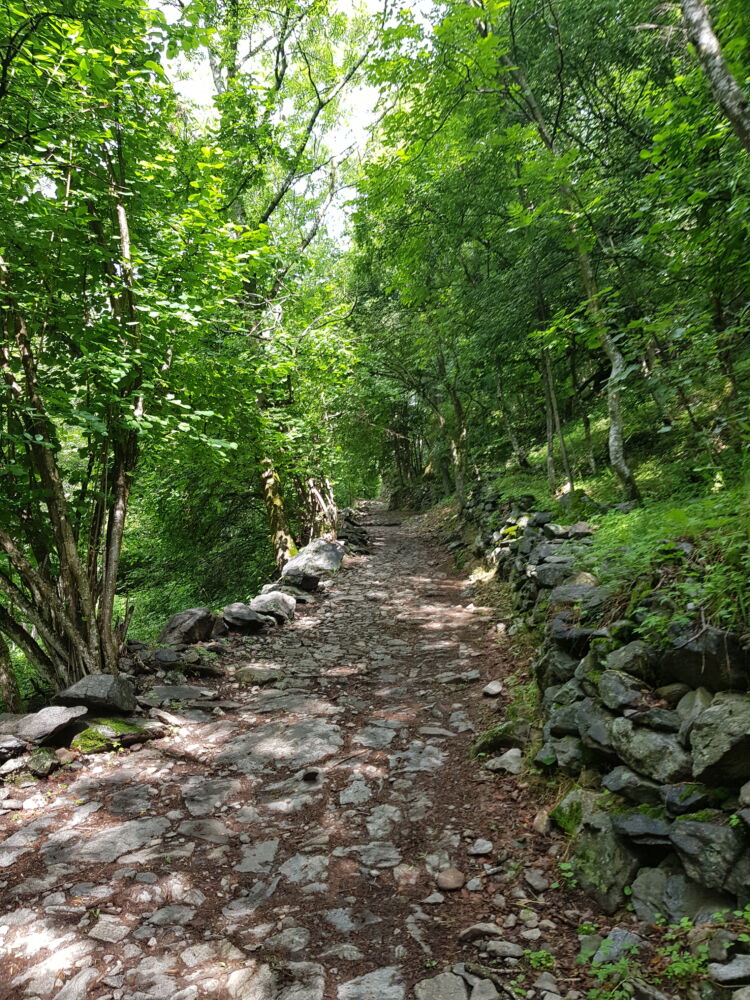 Sentiero Verso il Rifugio Livio Bianco