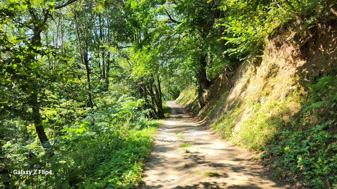 Inizio strada sterrata verso cima saben