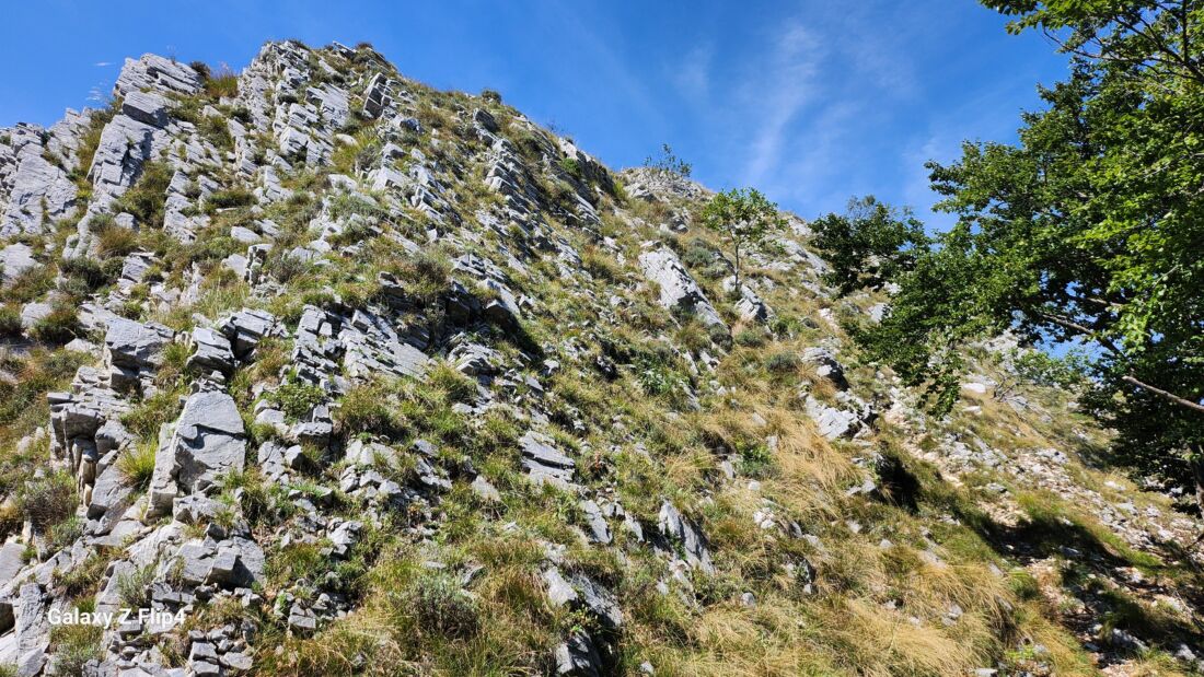 Ultima salita verso cima Pissousa