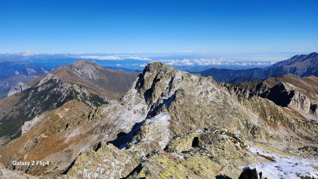 Monte Frisson