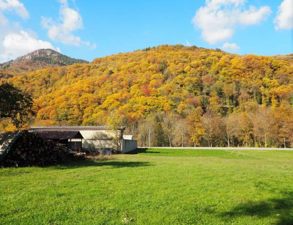 Il bosco dei Servanot- Valle Grana