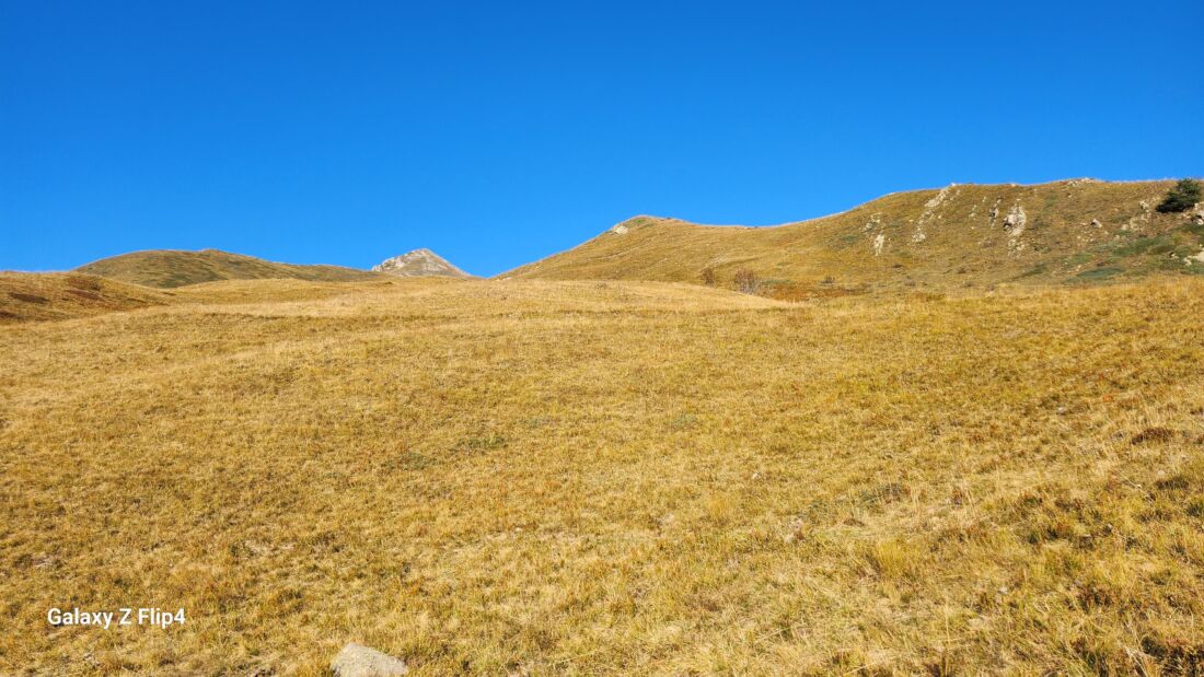 Pendii erbosi verso il Monte Chiamossero