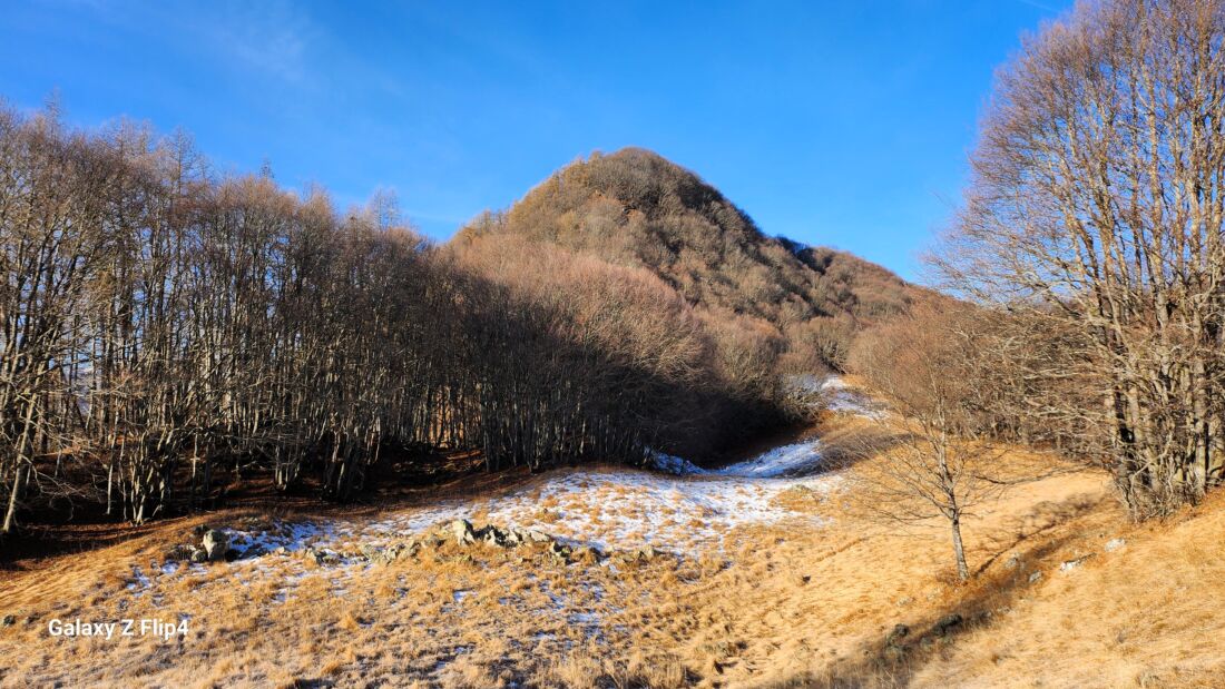 Testa di Peitagù ed avvallamento - Escursione ad anello da Aisone alla Testa di Peitagù al Monte Corso del Cavallo