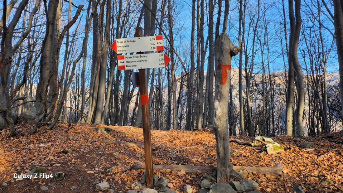 Palina ed indicazioni per la Testa di Peitagù