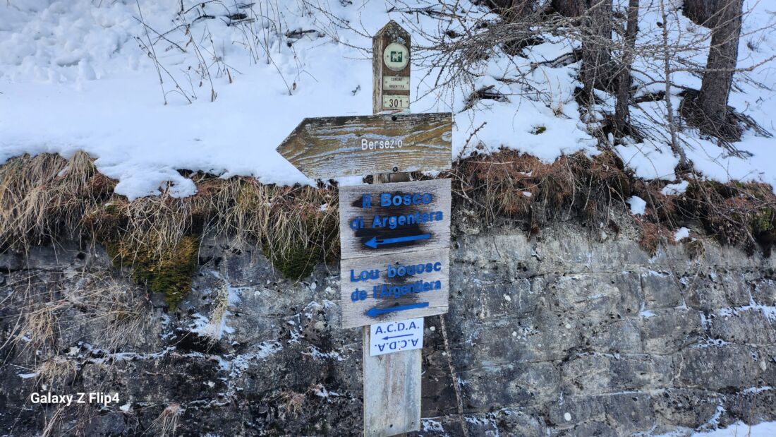 Palina Indicazioni per il Bosco di Argentera