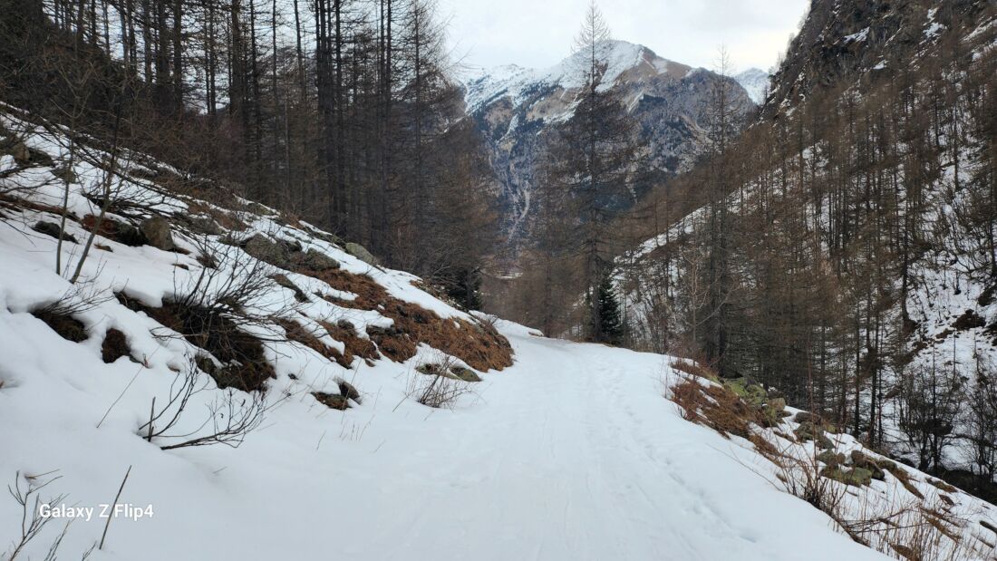 Stradina innevata Stradina a destra del Rio Ferriere