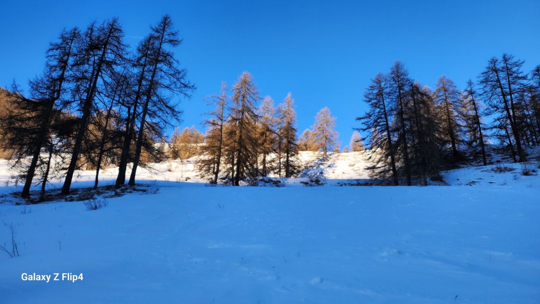 Partenza dopo il ponte Poco dopo la partenza da Bersezio - Scialpinismo da Bersezio al Vallone Andelplan