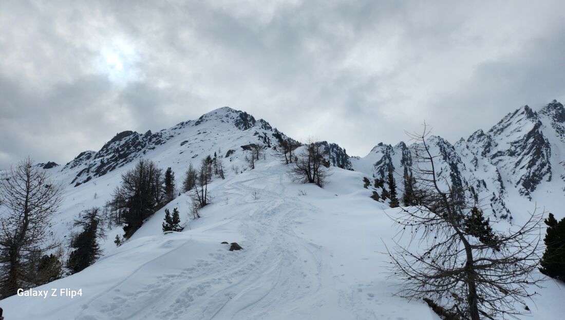 scialpinismo da Besmorello fino a quota 2515 Valle Stura