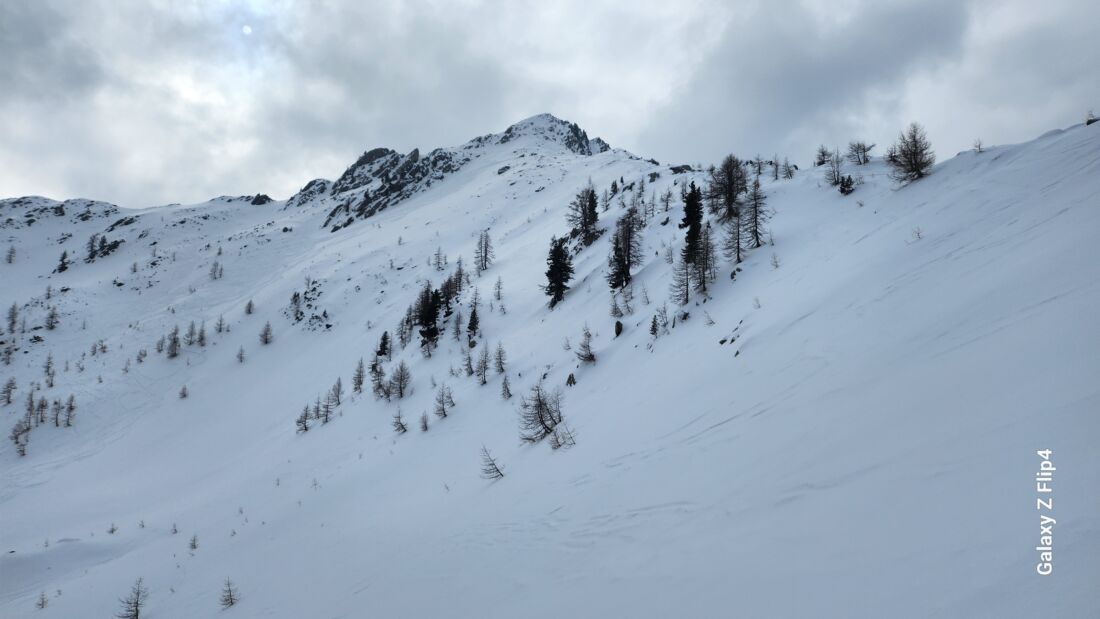 Quota 2515 m